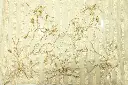 DSC_7947.webp