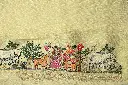 DSC_8005.webp