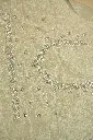 DSC_3165.webp