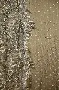 DSC_9908.webp