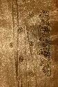 DSC_0782.webp