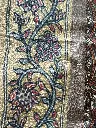 IMG_3344.webp
