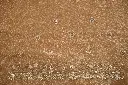 DSC_0055.webp