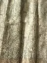 IMG_5050.webp