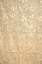 DSC_9821.webp