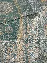 IMG_4958.webp
