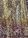 IMG_4784.webp