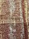 IMG_4716.webp