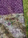 IMG_4891.webp