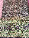 IMG_4693.webp