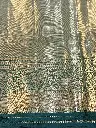 IMG_4683.webp