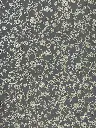 IMG_8637.webp
