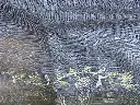 IMG_2133.webp