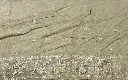IMG_0127.webp