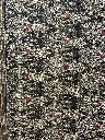 IMG_0533.webp
