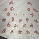 IMG_9946.webp