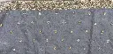 IMG_8585.webp
