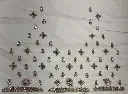 IMG_9851.webp