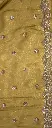 IMG_9520.webp
