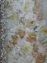 IMG_9592.webp