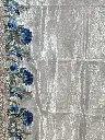 IMG_9675.webp