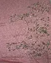 IMG_0395.webp