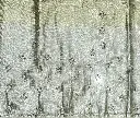 IMG_0927.webp