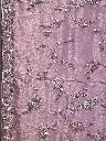 IMG_0829.webp