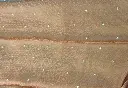 IMG_1908.webp