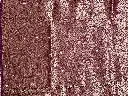 IMG_5407.webp
