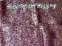 IMG_5409.webp