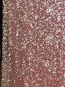 IMG_5392.webp