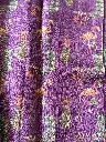 IMG_5058.webp