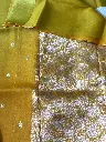 IMG_5120.webp
