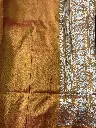 IMG_5346.webp