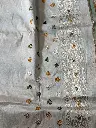 IMG_5334.webp