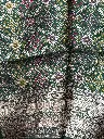 IMG_5161.webp
