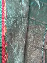 IMG_5169.webp