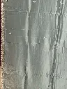 IMG_5575.webp