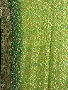 IMG_5921.webp