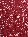 IMG_6174.webp