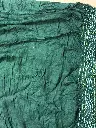IMG_6172.webp