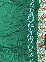 IMG_6194.webp
