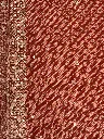 IMG_8073.webp