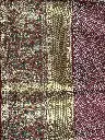 IMG_6926.webp