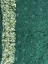 IMG_6325.webp