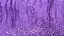 IMG_6649.webp