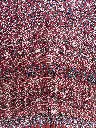 IMG_6829.webp
