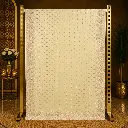 Women's Ivory Embroidered Saree with All-Over Sequins and Ornate Scalloped Border