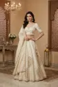 Chikoo Tissue Silk Embroidered Lehenga Choli Set